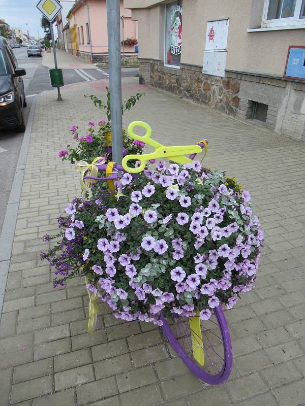 Ve Veselí nad Lužnicí kreativní zahradníci a zahradnice opět soutěží o nejkrásnější Veselé kolo, zapojit se mohou i návštěvníci.