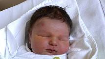 David Daňhel z Tábora.  Na svět přišel 28. května v 18.04 hodin. Prvorozený syn rodičů Veroniky a Karla po narození vážil  3790 gramů a měřil 50 cm. 