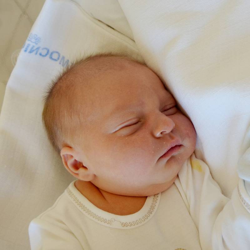 Tomáš Křižan z Ratajů u Bechyně.  Narodil 1. července 2019 v 7.07 hodin rodičům Kateřině a Martinovi  jako jejich druhé dítě. Vážil 3950 gramů, měřil 52 cm a doma se na brášku těšila Lucinka (2,5).