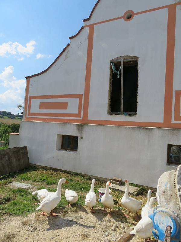 V sobotu 4. září Barokní dvůr pořádal již posedmé dožínkové slavnosti. V pestrém programu si vybrali děti i dospělí.