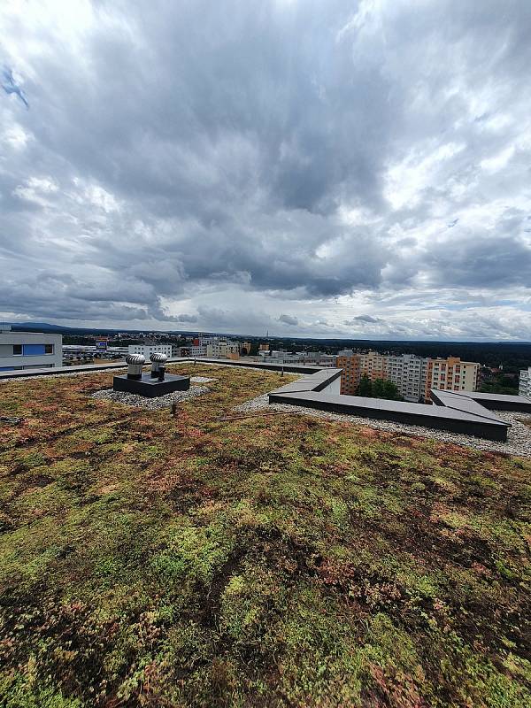 Na pilotní projekt zelené střechy v Táboře mají navazovat v budoucnu další. Rozchodníky na třináctipatrovém domě v Berlínské ulici zajistí termoregulační vlastnosti i prodloužení životnosti.