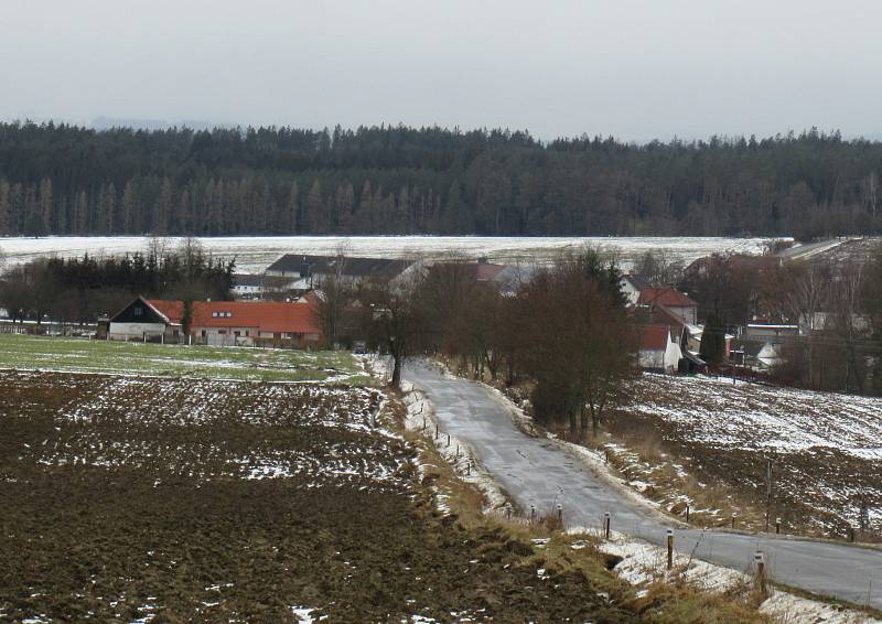 V Dlouhé Lhotě na Táborsku v pátek 22. ledna potvrdila veterinární správa ptačí chřipku. Vyšetření nákazu odhalilo u drobného chovatele na samotě u lesa.