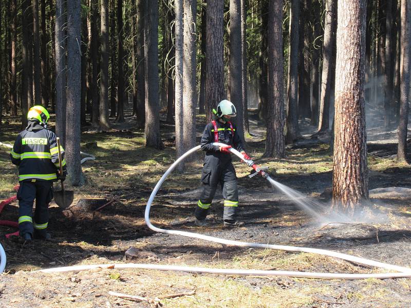 Lesní porost hořel ve středu 8. dubna mezi obcemi Myslkovice a Brandlín na Táborsku.