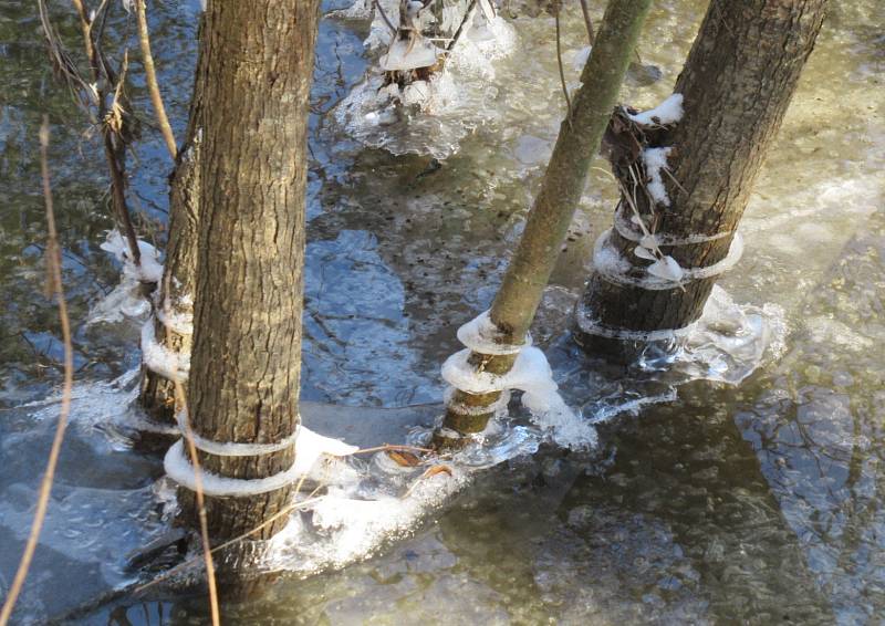 Tání a plující kry na řece Lužnici na Táborsku už symbolizují příchod jara.