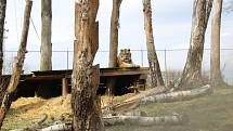 Zoo na jihu Čech otevřou brány návštěvníkům, připravuje se i táborská zoologická zahrada.
