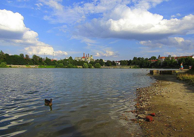 Koupání v Jordánu v Táboře se kvůli výskytu řas ze zdravotních důvodů nedoporučuje.