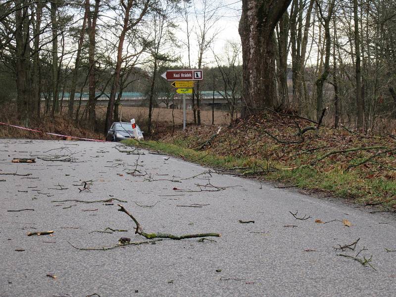 Silný vítr v pondělí 10. února přinesl na Táborsko déšť a zatopil silničářům. Průtrž se strhla po 8. hodině také přímo v Táboře, voda se valila přes silnici v Měšicích, silnice na Turovec je v obou směrech uzavřena. K zemi Sabine poslala i statnou břízu u