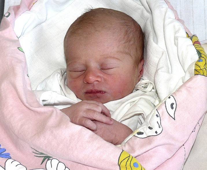 ADÉLA BÁROVÁ Z PACOVA. Narodila se 30. prosince v 0.53 hodin. První  dcera rodičů  Ludmily a Michala vážila 2220 g a  měřila 45 cm. 