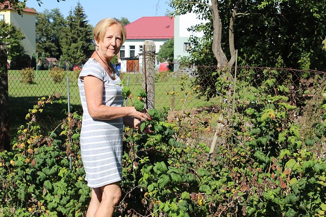 Miloslava Kvasničková už letos zasadila jen brambory.