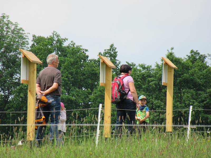 Velbloudi uchvátili Žanetu Krátoškovou při prvním setkání, na farmě seznamuje jak s jednohrbými, tak dvojhrbými přežvýkavci. Chovatel lam Jiří Švanda představuje zase hravé dlouhokrké sudokopytníky.