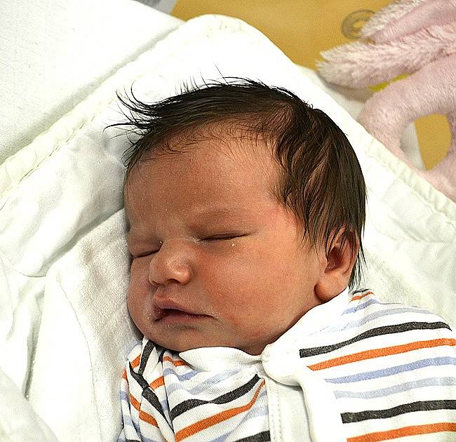 Sofie Součková z Tábora. Rodičům Michaele a Davidovi se narodila 17. září v 11.35 hodin jako jejich první dítě. Po porodu vážila 3500 gramů a měřila 49 cm.