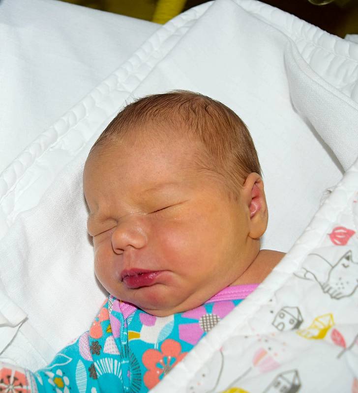 Eva Novotná z Veselí nad Lužnicí.Přišla na svět 30. prosince 2019 v 10.44 hodin jako druhá dcera rodičů Anny a Marka. Po porodu vážila 3840 gramů a měřila 51 cm.