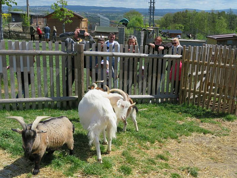 Táborská zoologická zahrada po nucené koronavirové pauze zažívá boom návštěvníků.