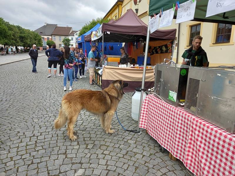 Městské slavnosti ve Veselí nad Lužnicí 2022.