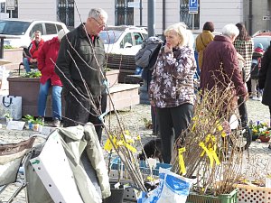 Pravidelný trh na Žižkově náměstí v Táboře ve středu 13. března.