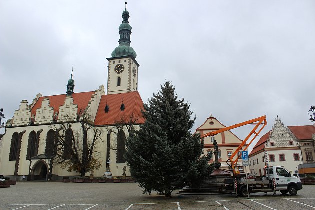 Vánoční strom v Táboře už stojí. Letošní strom poskytli manželé Drdovi z Klokot, jedná se o stříbrnou formu smrku pichlavého. Měří zhruba 12 metrů.