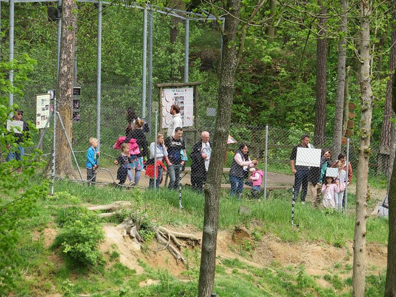 Táborská zoologická zahrada po nucené koronavirové pauze zažívá boom návštěvníků.