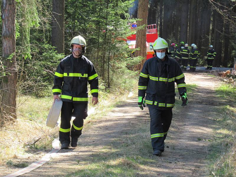 Lesní porost hořel ve středu 8. dubna mezi obcemi Myslkovice a Brandlín na Táborsku.