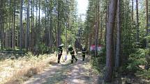 Lesní porost hořel ve středu 8. dubna mezi obcemi Myslkovice a Brandlín na Táborsku.