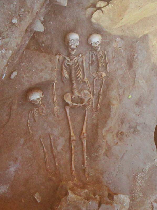 Některé skelety nalezené pod domem U Mečířů vykazovaly anomálie, jedna z lebek měla v horní čelisti tři zuby, písecká antropoložka také určila pohlaví ženy a několika dětí pohřbených vedle sebe.