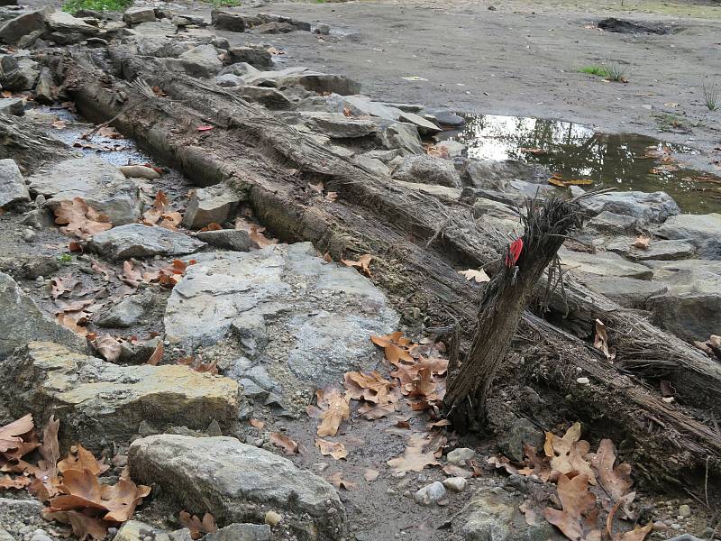 Tým archeologů Husitského muzea v Táboře na dně Farského rybníka v Plané nad Lužnicí pracuje již od srpna.