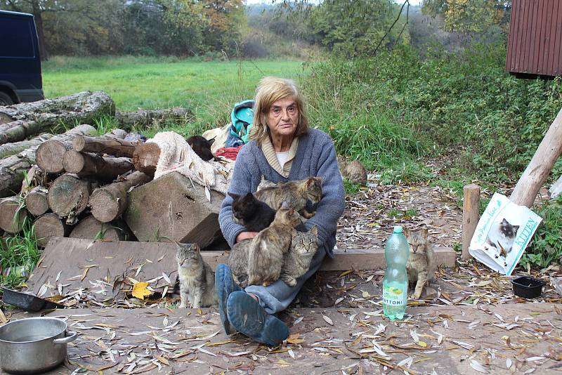 Jana Kaprálová bydlí na kraji Chýnova v rozpadlé maringotce s desítkami koček. Mají propadnout státu.