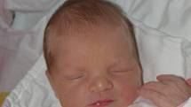 Ema Barešová z Bechyně. Rodiče Andrea a Petr se 15. listopadu v 15.20 hodin dočkali své prvorozené dcery. Malá Ema po porodu vážila 3290 gramů a měřila 51 cm. 