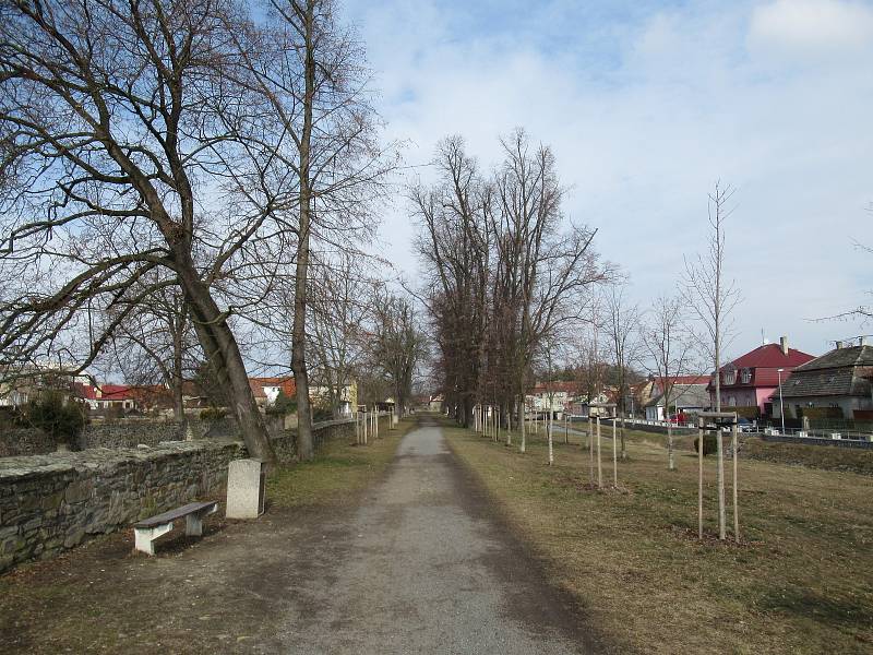 Piráti v Soběslavi na Promenádě hlídají stromy, na místě lze podepsat i petici Nechme stromy žít.