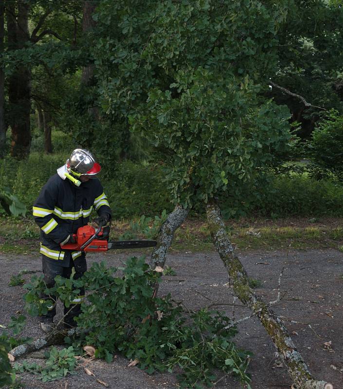 Na dráty spadlou dubovou větěv odstranili dobrovolníci z Chodové Plané.