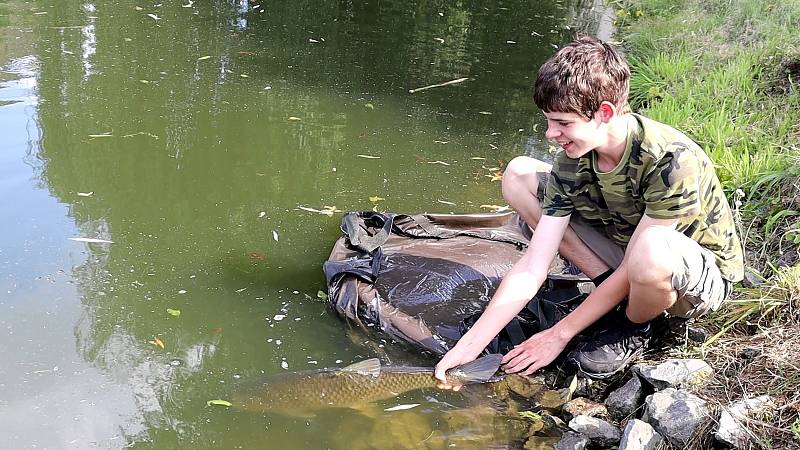 Třináctiletý Matěj objevuje rybí život i silné příběhy z minulého století.