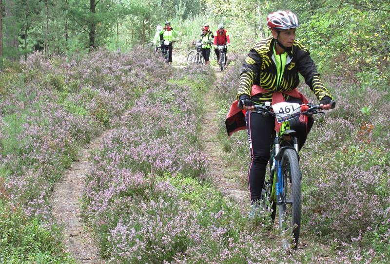 Cyklistického podniku se účastnili i kolaři z Tachovska.