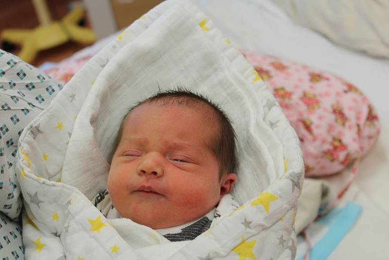 Stela Dorková z Orlovic u Kdyně je prvorozeným miminkem rodičů Jarmily a Jakuba. Holčička přišla na svět v klatovské porodnici 4. června v 18:52 hodin (2380 g, 43 cm).