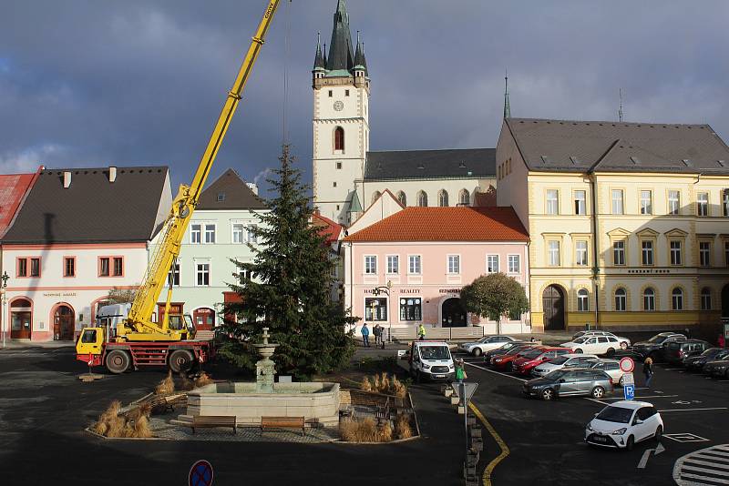 Usazení vánočního stromu na náměstí v Tachově.