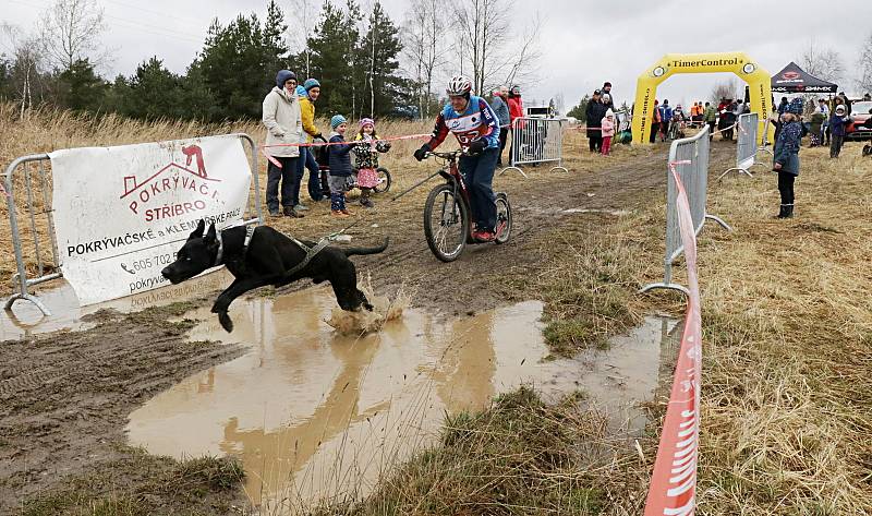 Psí spřežení závodila ve Stříbře na blátivé i štěrkové trati