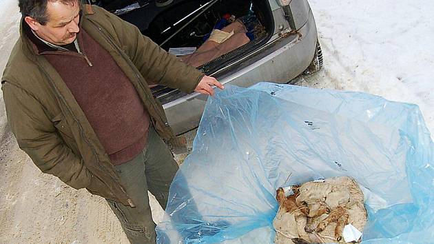 Pět mrtvých jehňat v igelitovém pytli putuje na pitvu. Karel Bobál ze Záchranné stanice živočichů ve Studánce (na snímku) je převezl v pondělí do Tachova, odkud budou převanena na Krajskou veterinární správu do Plzně.