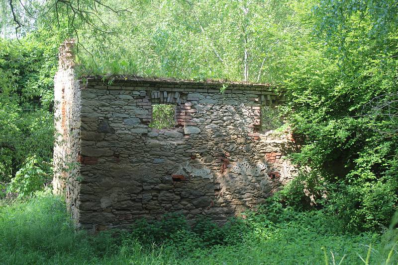 Červený mlýn u Plané. Devastace postoupila tak daleko, že areál už asi nic nezachrání.