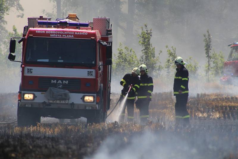 Požár obilného lánu u Chodové Plané.