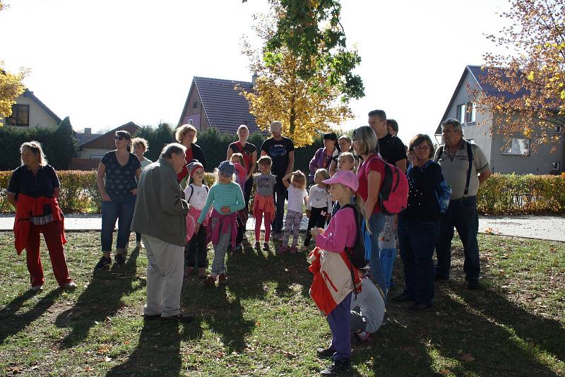 Procházku kolem památných, známých a významných stromů připravili v Kladrubech.