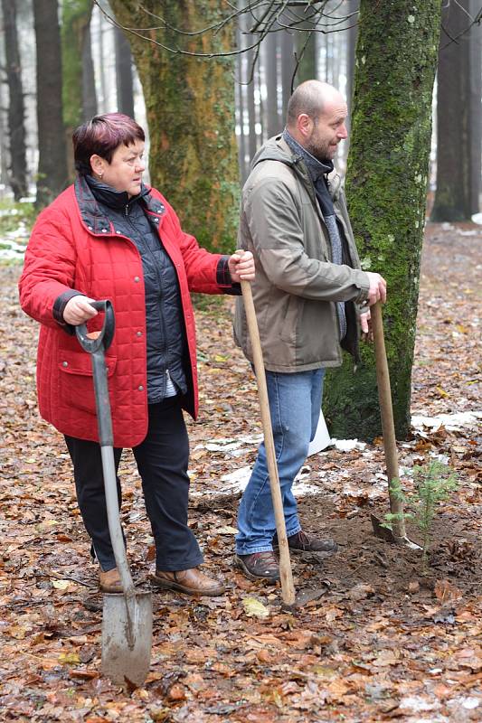 Zástupci města Přimdy a Pfreimdu se v sobotu sešli, aby zasázeli sazenice tisu červeného.