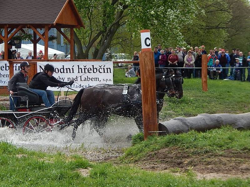 Z Kladrub do Kladrub se vypravil jezdecký klub, navštívil hřebčín