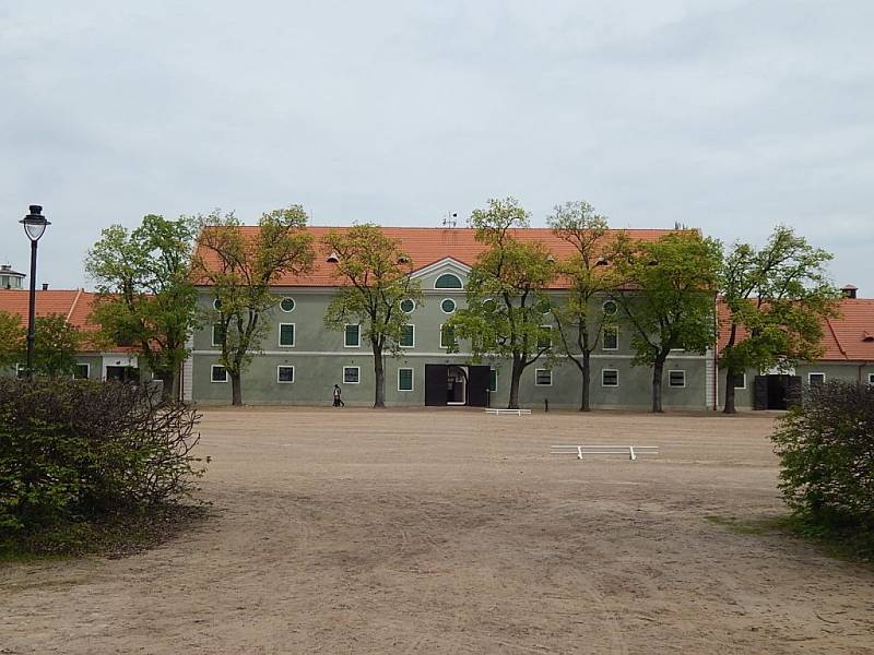 Z Kladrub do Kladrub se vypravil jezdecký klub, navštívil hřebčín