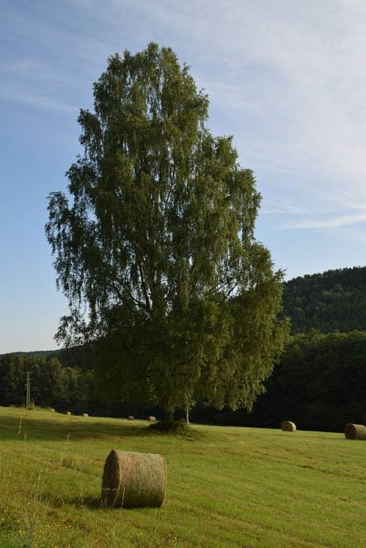 Hamry a jejich okolí jsou balzám na nervy