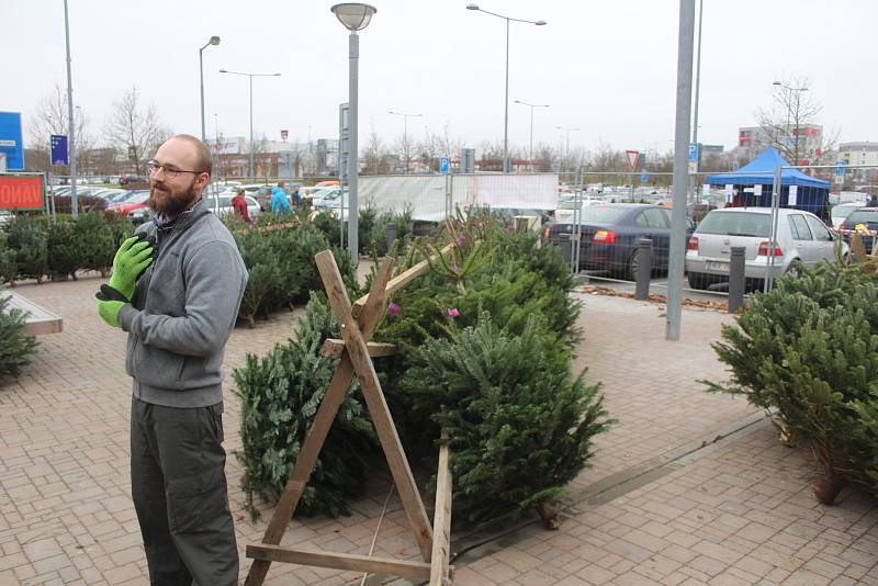 Poslední sobota před vánočními svátky. Adventní a farmářské trhy na plzeňském náměstí a odpoledne v nákupním centru Olympie.