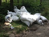 ZHRUBA dvacet pytlů s odpady někdo vyvezl do lesa za Stříbrem, v místě je však sběrný dvůr.