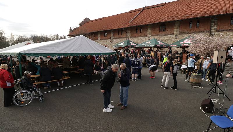 Dubový pivní sud kuliči dokouleli do Chodové Plané, začala pivní sezóna