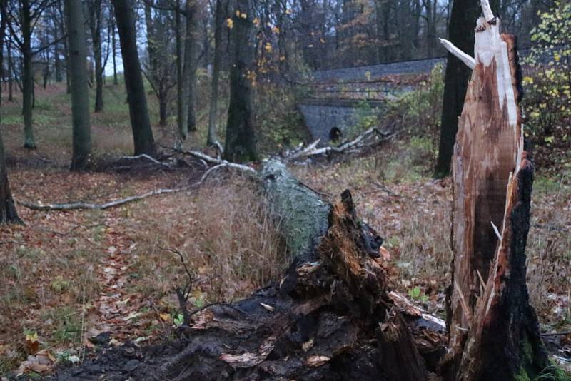 Veliké škody napáchaly poryvy silného větru v zámeckém parku v Chodové Plané.