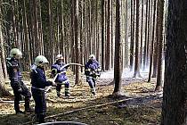 Lidé svatého Floriána – hasiči z Konstantinových Lázní zasahovali při lesním požáru u Strahova.