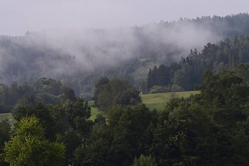 Krásný pohled se nabídne obyvatelům a návštěvníkům Mydlovar v pozdní letní ráno, když jsou ochotni si přivstat a pokochat se údolím kolem Úterského potoka.