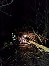Padlý strom odstraňovali dobrovolníci SDH Damnov u silnice na Velkou Ves.