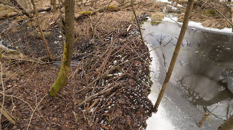 Předjaří v Českém lese: na vrcholcích sníh a turistické cíle bez lidí.